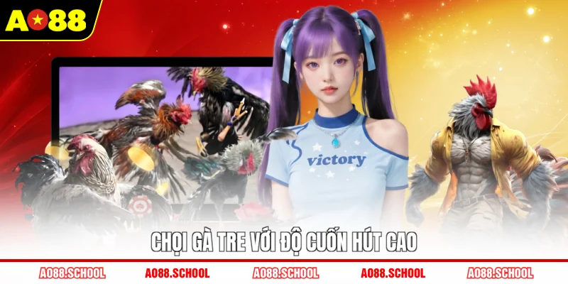 Chọi gà tre với độ cuốn hút cao