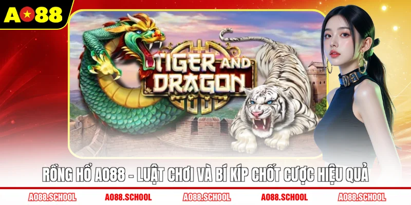 Rồng hổ AO88